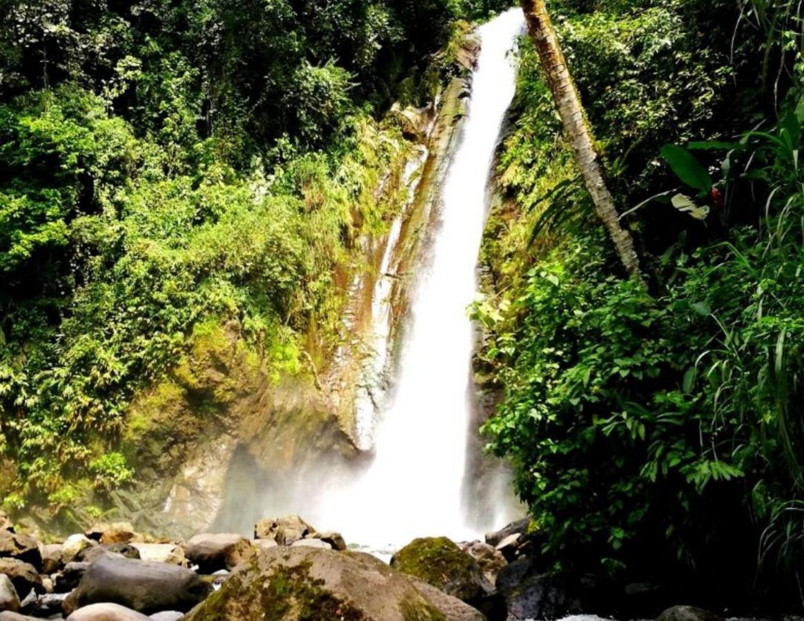 Hotel Wagelia Turrialba Buitenkant foto